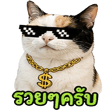 858482614