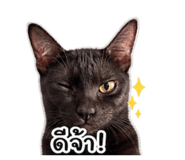 858483161