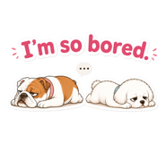 858484063
