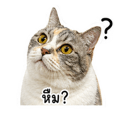 858484134