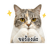 858484138