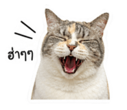 858484140