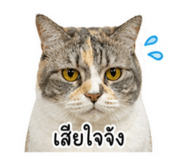 858484141