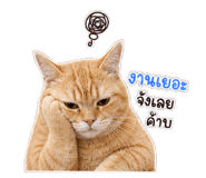 858484179