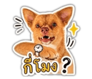 858485513