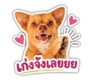 858485514