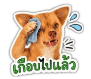 858485516