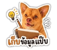 858485517