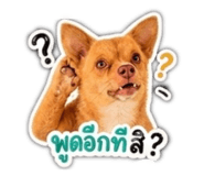 858485518