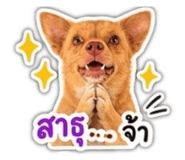 858485520
