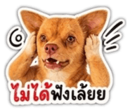 858485521