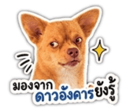 858485522
