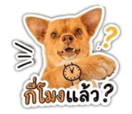 858485523
