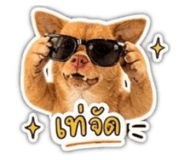 858485525