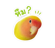 858485652