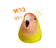 858485654