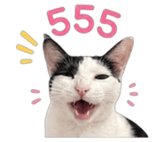 858487274