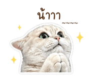 858487315