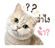858487319