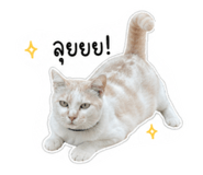 858488326