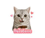858489083