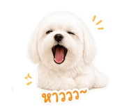 858489709