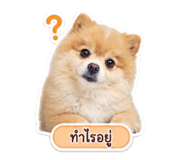 858490875