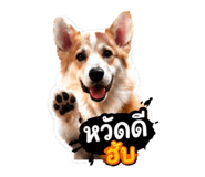 858491169