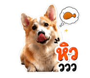 858491173