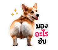 858491175