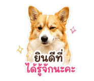 858492938