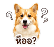 858492948