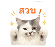 858493051