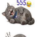 858493303
