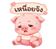 858495221