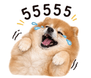 858495605