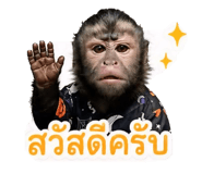 858495865