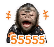 858495868