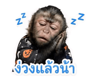 858495869