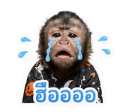 858495872