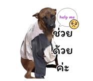 858495968