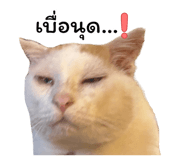 858495969