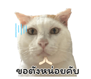 858495973