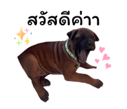 858495974