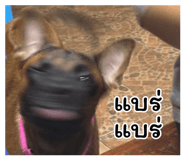 858495975
