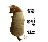 858495977
