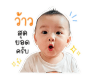 858496228