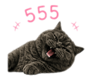 858496944
