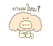 858497806