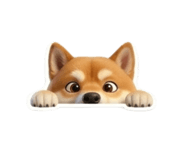858498323